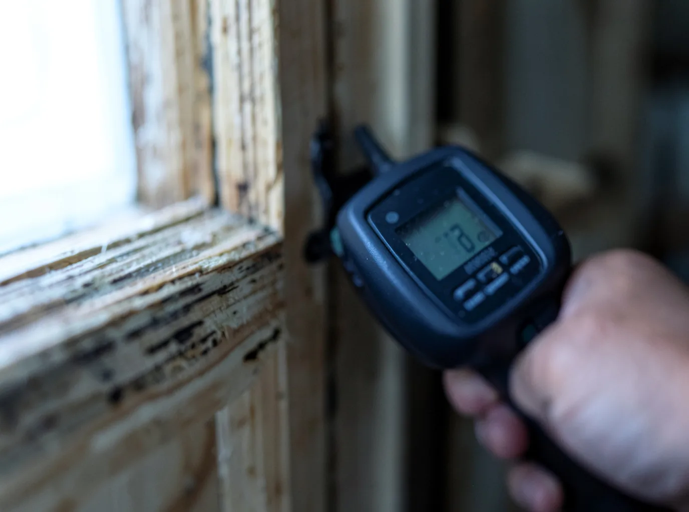 Commercial Water Damage Restoration in Logandale, NV